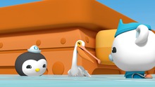 Octonauts | AT&T U-verse